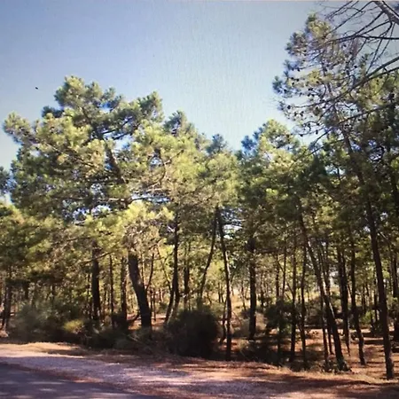 De 3 Et 6 Couchages Max. A Proximite De A Algarve Feriehus Monte Gordo